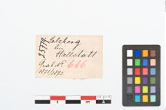 Etikett zu Bronzespiralröhrchen (NHMW-PRAE-025779)